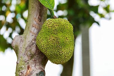 12名专业电影人参与《天国：拯救2》宣传片制作花絮